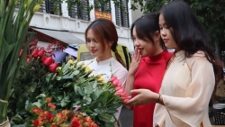 Tết Việt trong lòng thế hệ trẻ