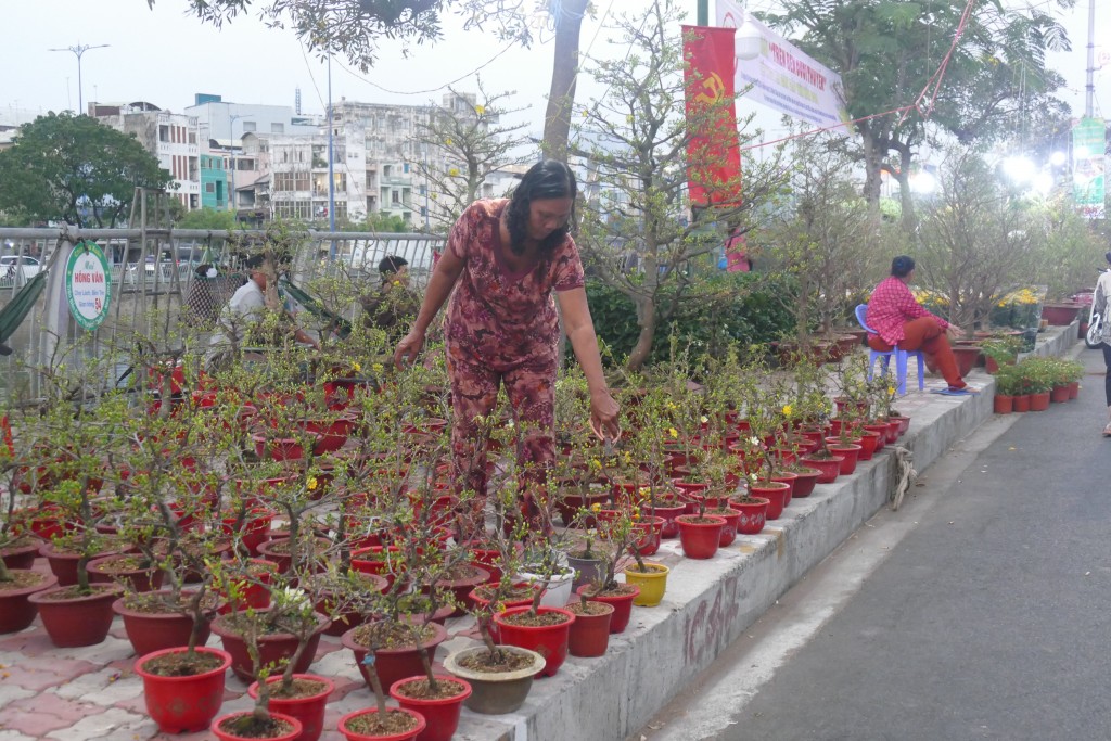 Cô Tư, một thương nhân đến từ Đồng Tháp cho biết Tết hàng năm đều chở hoa lên đây phục vụ người dân TP Hồ Chí Minh