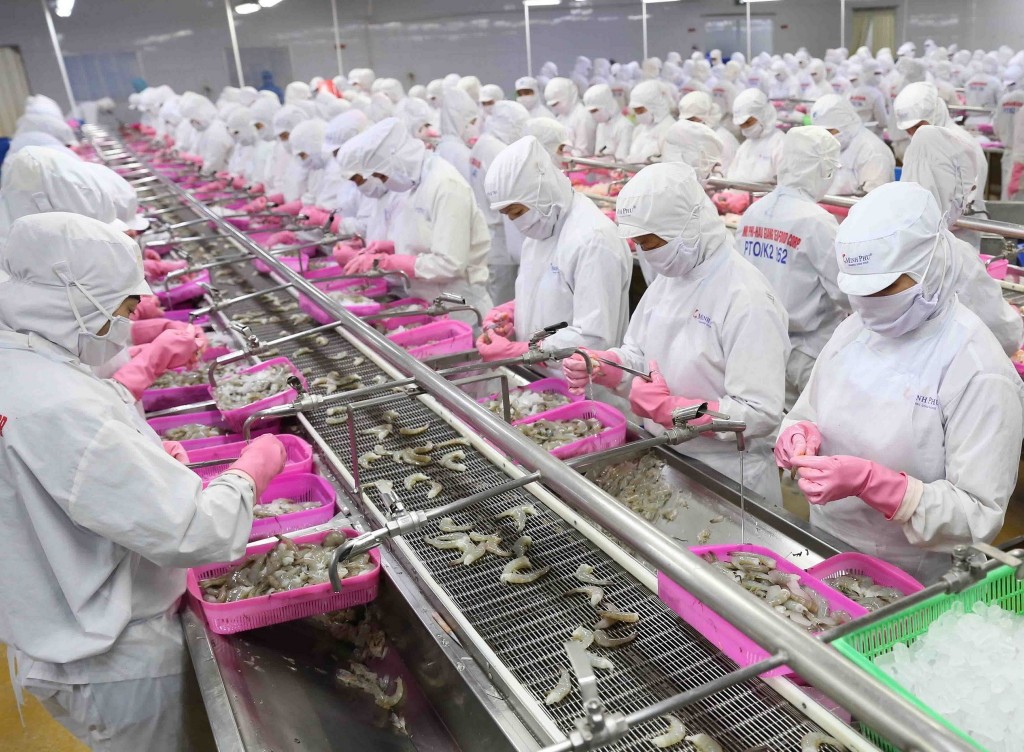 Dây chuyền chế biến sản phẩm tôm xuất khẩu tại nhà máy của Tập đoàn Thủy sản Minh Phú tỉnh Cà Mau
