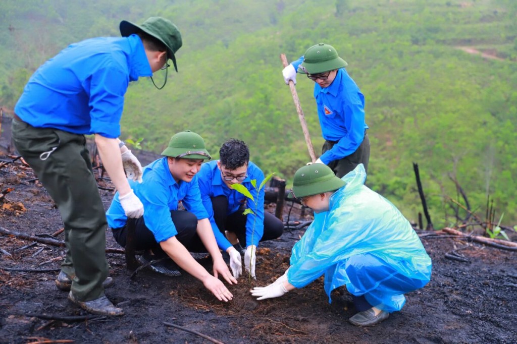 Đẩy mạnh bảo tồn hệ sinh thái rừng và phòng, chống thiên tai