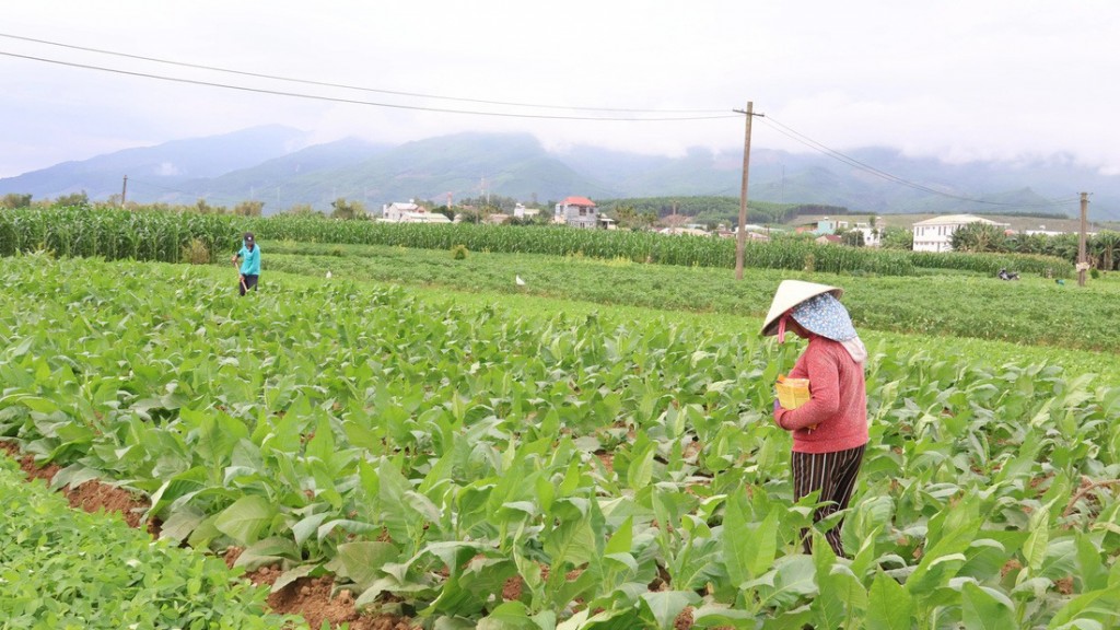 Về lại Vu Gia