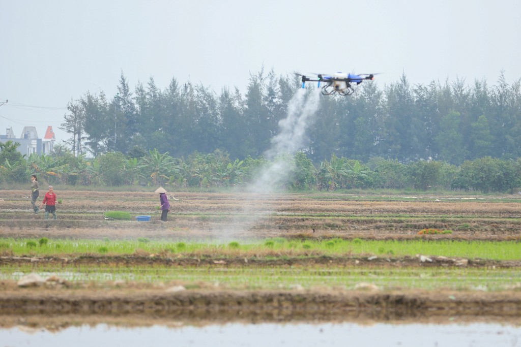 Bà con nông dân Hải Dương sử dụng drone trong canh tác lúa theo mô hình nông nghiệp công nghệ cao - Ảnh: VGP/Nhật Bắc