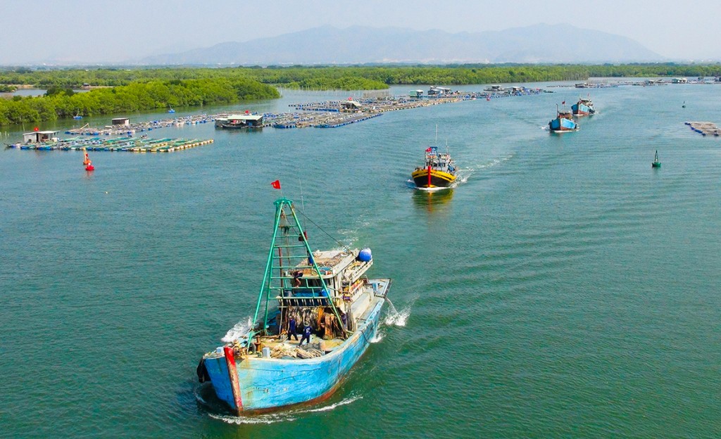 Phát triển nghề cá bền vững, có trách nhiệm và hội nhập quốc tế