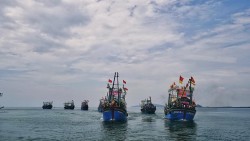 Phát triển nghề cá bền vững, có trách nhiệm và hội nhập quốc tế