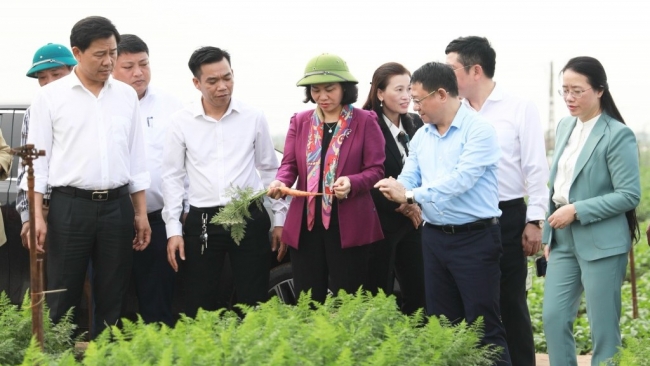 Phát triển nông nghiệp huyện Mê Linh theo hướng hiện đại