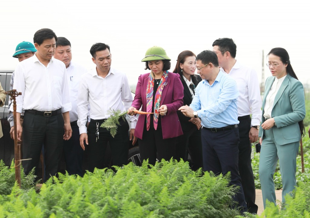 Phát triển nông nghiệp huyện Mê Linh theo hướng hiện đại