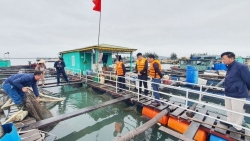 Quảng Ninh: Sẽ tiêu hủy phương tiện thủy không có đăng ký, đăng kiểm