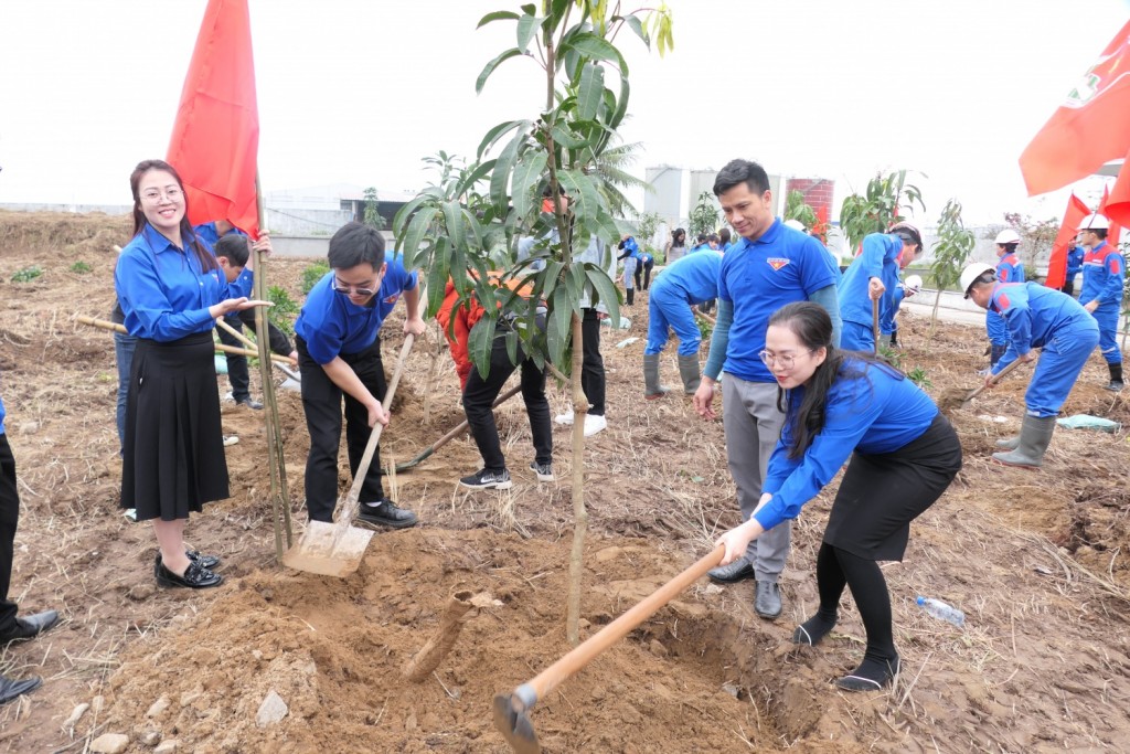 Các đoàn viên thanh niên