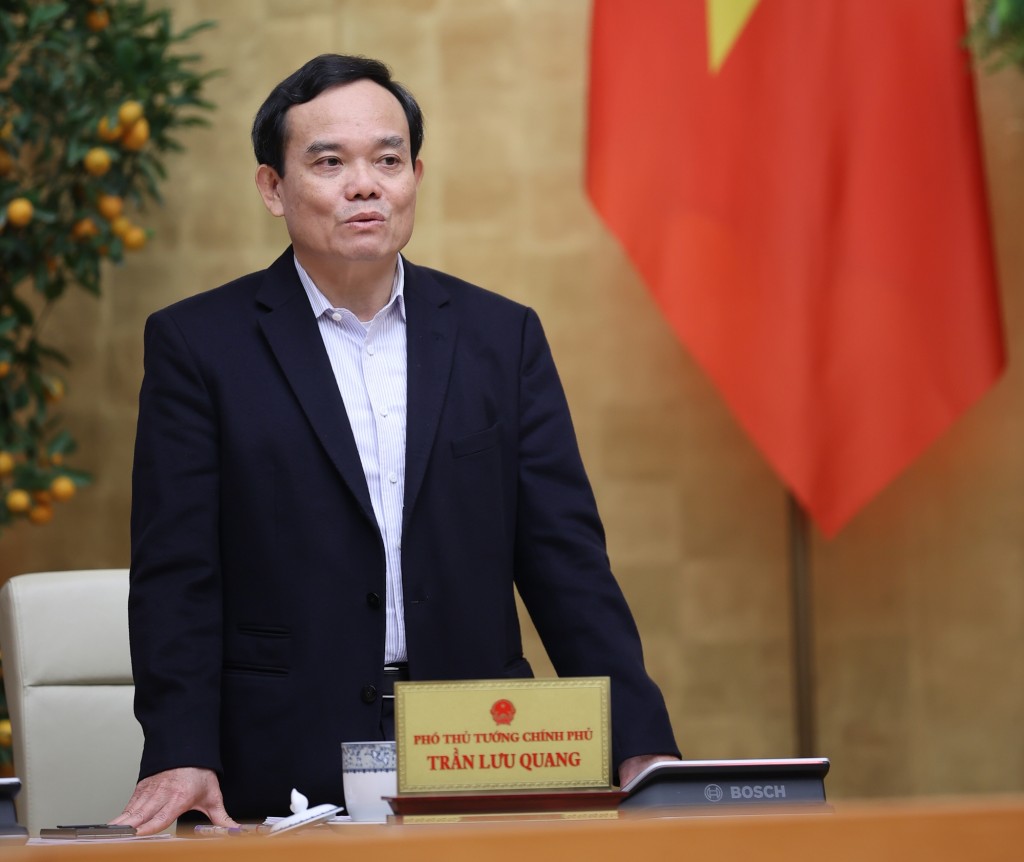 Phó Thủ tướng Trần Lưu Quang phát biểu - Ảnh: VGP/Nhật Bắc