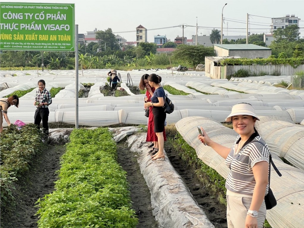 Kỳ 4: Đẩy mạnh truy xuất nguồn gốc thực phẩm bếp ăn trường học