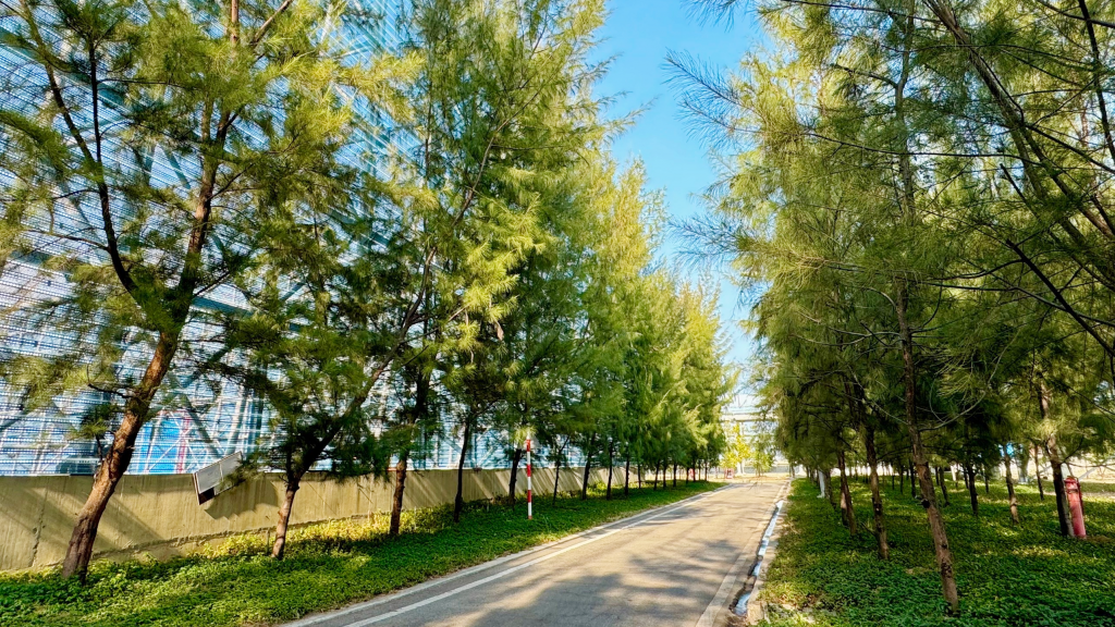 Nhà máy Nhiệt điện Vĩnh Tân 4 phát động Tết trồng cây năm 2024
