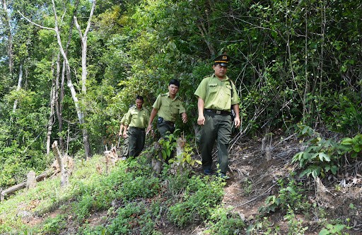 Ảnh minh họa