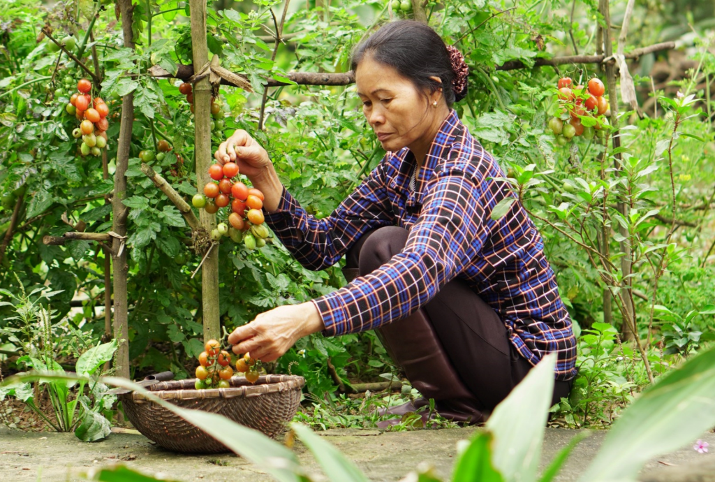 Những câu chuyện ý nghĩa ngày 8/3