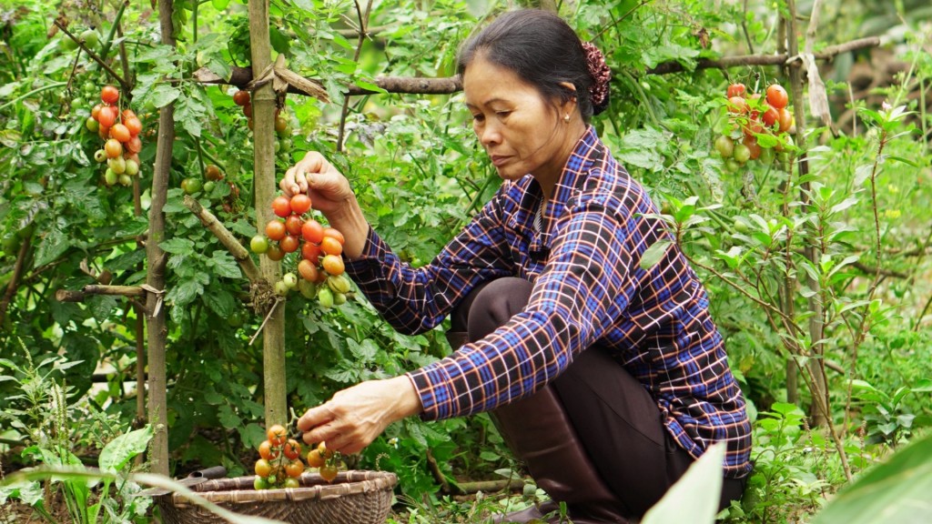 Những câu chuyện ý nghĩa ngày 8/3