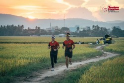 Tiền Phong Marathon 2024: Gần 12.000 vận động viên sải bước theo 