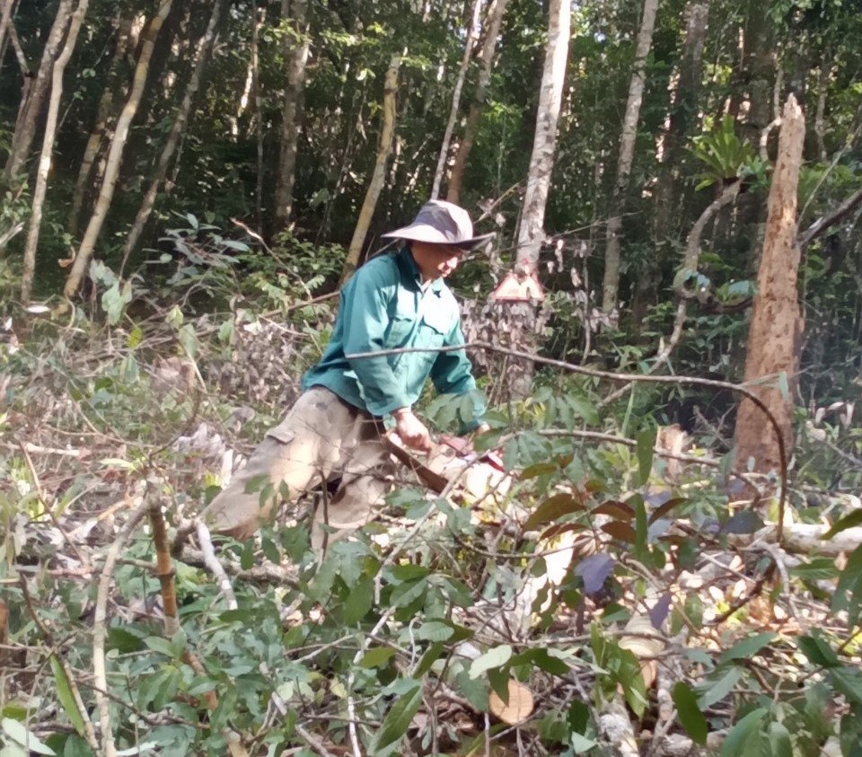 Kon Tum: Khởi tố vụ hủy hoại rừng tại huyện Kon Plông