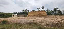 Quảng Nam: Nham nhở đồi thông Bồ Bồ