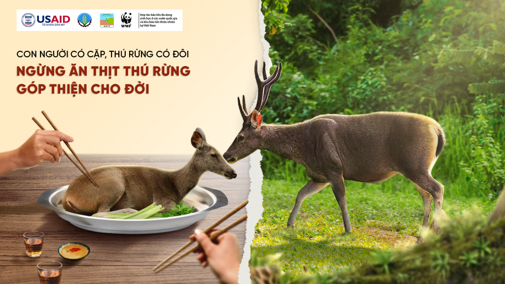 Chiến dịch Ngừng ăn thịt thú rừng, góp thiện cho đời được phát động vào ngày 15/5/2024 (Nguồn ảnh: © USAID Biodiversity Conservation (thuộc dự án VFBC)/ WWF-Việt Nam)