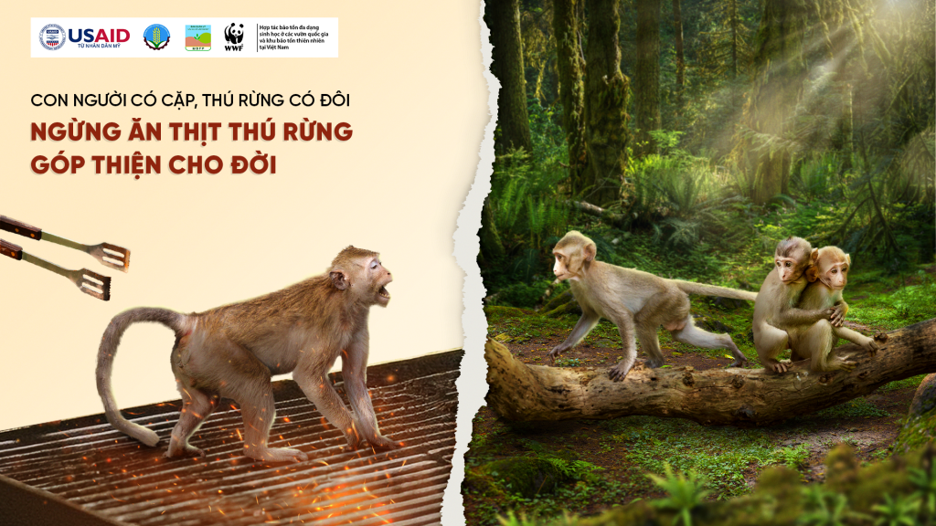 Chuỗi sự kiện hưởng ứng chiến dịch sẽ diễn ra tại 5 tỉnh thành: Quảng Nam, Thừa Thiên Huế, Quảng Trị, Quảng Bình và Lâm Đồng (Nguồn ảnh: © USAID Biodiversity Conservation (thuộc dự án VFBC)/ WWF-Việt Nam_