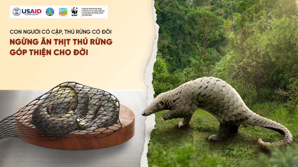Chiến dịch kêu gọi tinh thần trách nhiệm của mọi người dân Việt Nam đối với thiên nhiên hoang dã (Nguồn ảnh: © USAID Biodiversity Conservation (thuộc dự án VFBC)/ WWF-Việt Nam)