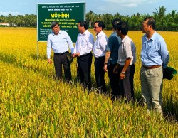 Bộ Nông nghiệp và Phát triển nông thôn thăm HTX Phát Tài - mô hình sử dụng NPK Phú Mỹ