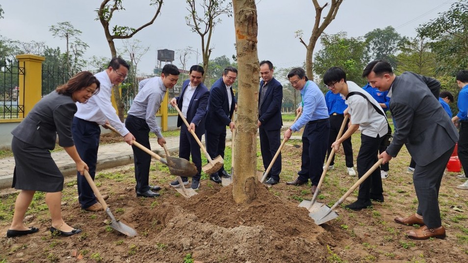 Trồng cây xanh hôm nay, tạo diện mạo tươi đẹp cho mai sau