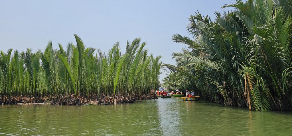Đông đảo du khách tham quan Rừng Dừa Bảy Mẫu 200 năm tuổi