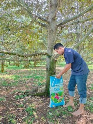 Cách chăm sóc cây trồng đúng cách trong mùa khô, hạn mặn