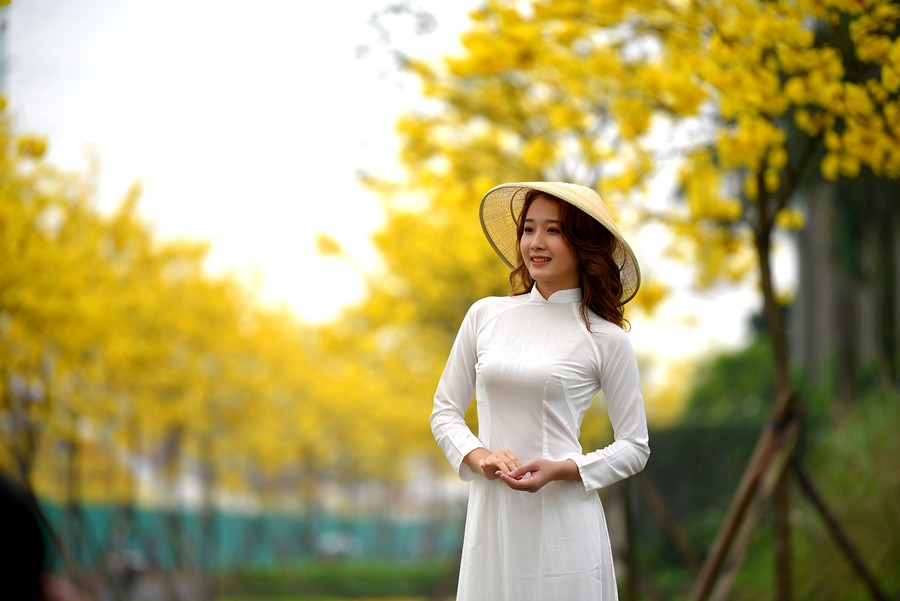 Mùa xuân, mùa đẹp mơ màng của Hà Nội