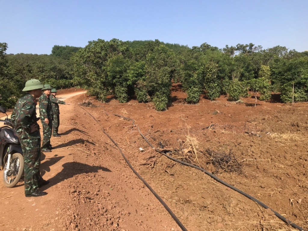 Cán bộ Trung đoàn 720 chỉ đạo triển khai hệ thống ống tưới nước cứu hạn