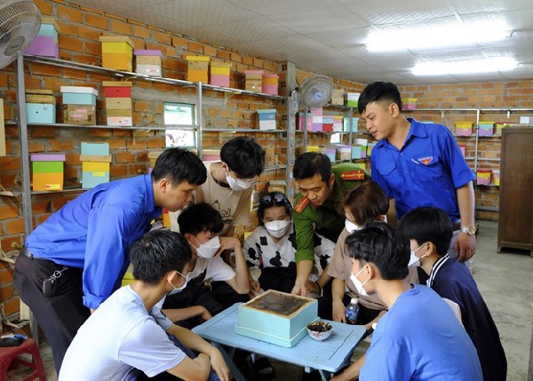 Đoàn viên, thanh niên tỉnh Ninh Thuân tham quan Dự án Nuôi ong Dú Jichi của bạn Nguyễn Hữu Trực