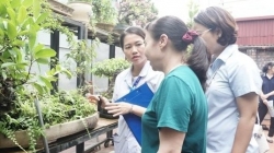 Số ca mắc sốt xuất huyết tại Hà Nội tiếp tục tăng
