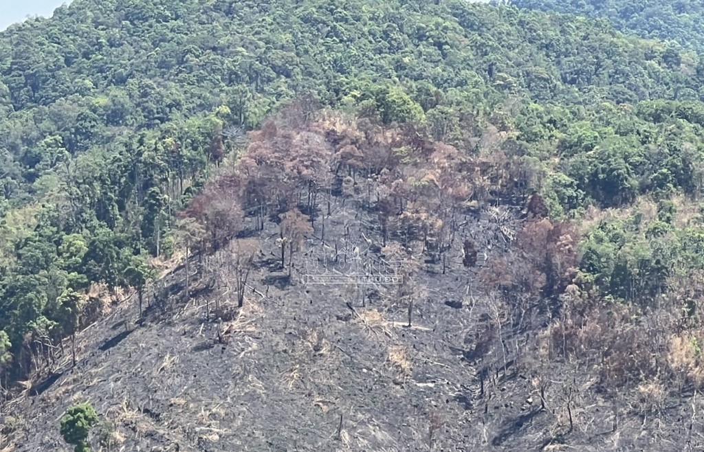 Tỉnh Kon Tum chỉ đạo điều tra vụ phá rừng tự nhiên Đăk Pxi