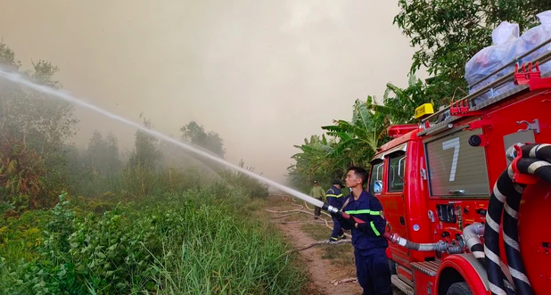 Đã khống chế được cháy rừng tại Cà Mau