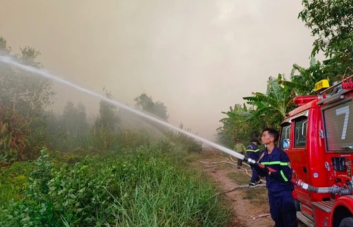 Đã khống chế được cháy rừng tại Cà Mau