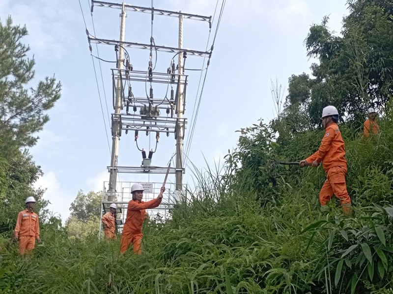 Điện lực Than Uyên - PC Lai Châu ra quân phát quang hàng lang đảm bảo vận hành an toàn lưới điện