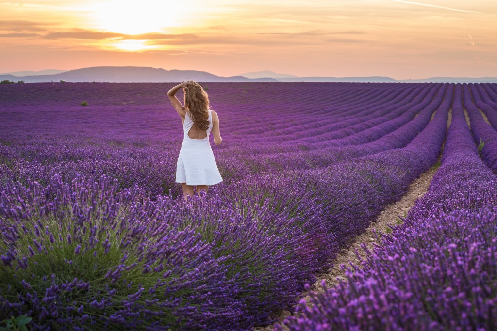 Lễ hội Balade en France - Điểm hẹn cuối tuần trải nghiệm không gian văn hóa Pháp