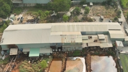 Bình Dương: Nhà xưởng hơn 4.000m2 “mọc” trên đất trồng lúa