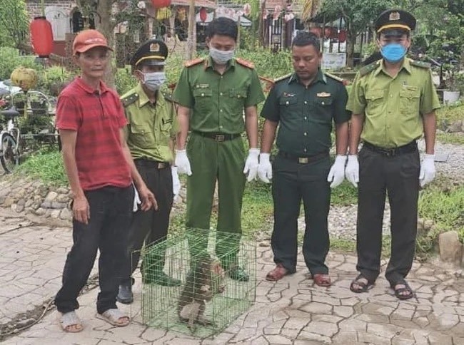 Cá thể khỉ mặt đỏ vừa được Hạt Kiểm lâm huyện Phú Lộc giao nộp (Ảnh Hạt kiểm lâm)