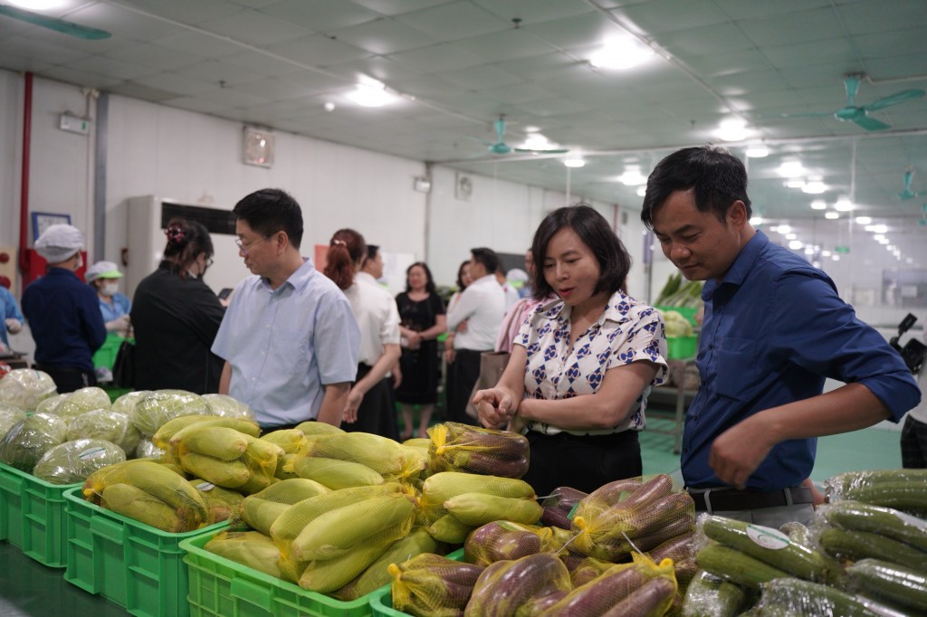 Duy trì mô hình rau an toàn, phát triển khai xét nghiệm nhanh tại chợ