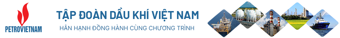 Tuổi trẻ Quảng Ngãi xung kích, tình nguyện vì cộng đồng