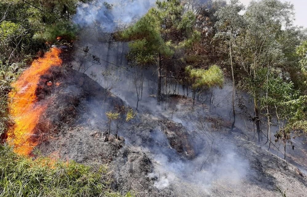 Quảng Nam: Triển khai quyết liệt các biện pháp phòng, chống cháy rừng