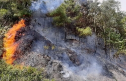 Quảng Nam: Triển khai quyết liệt các biện pháp phòng, chống cháy rừng