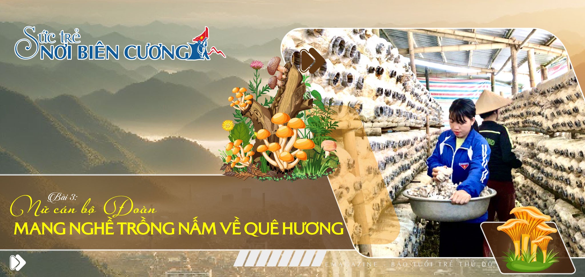 Bài 3: Nữ cán bộ Đoàn mang nghề trồng nấm về quê hương