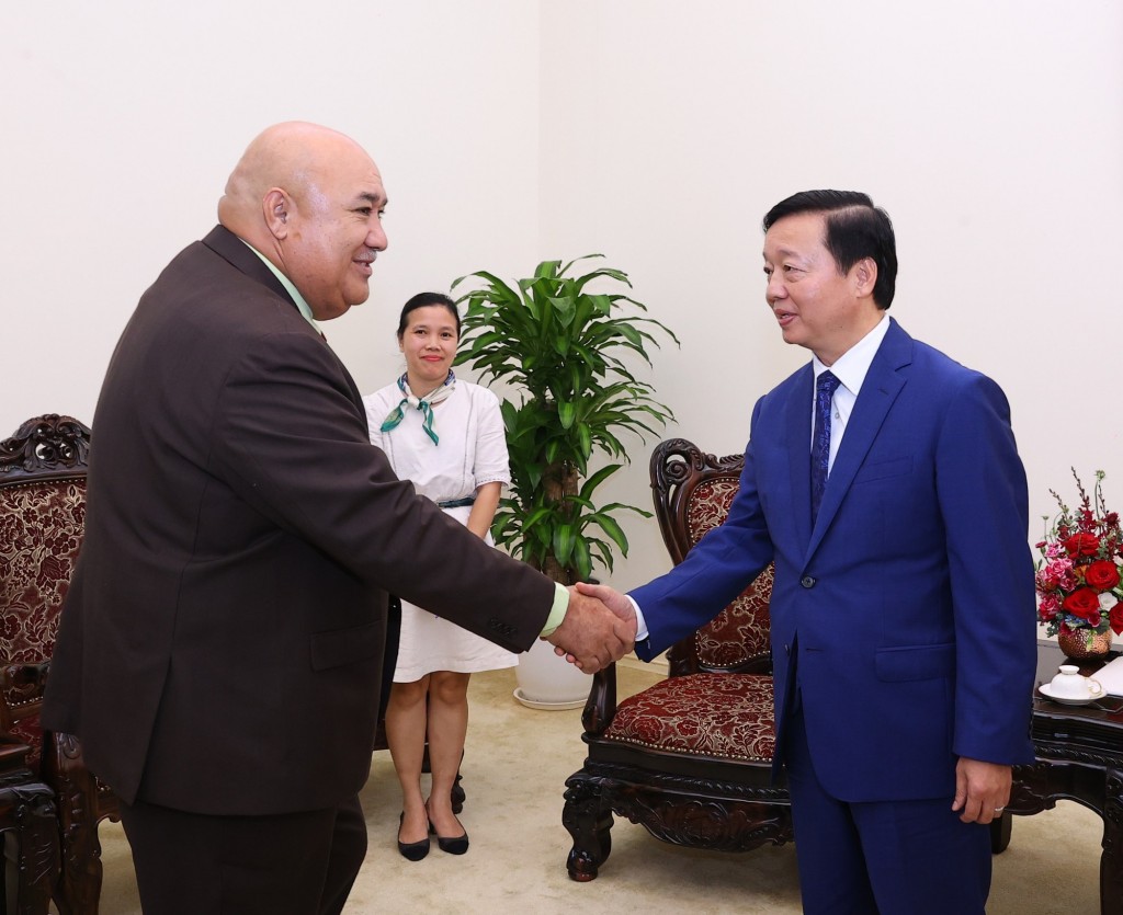 Phó Thủ tướng Trần Hồng Hà đề nghị WHO tiếp tục hỗ trợ Việt Nam thực hiện cải cách, hoàn thiện cơ chế, quy định, thủ tục về mua sắm, đấu thầu dược phẩm - Ảnh: VGP/MK