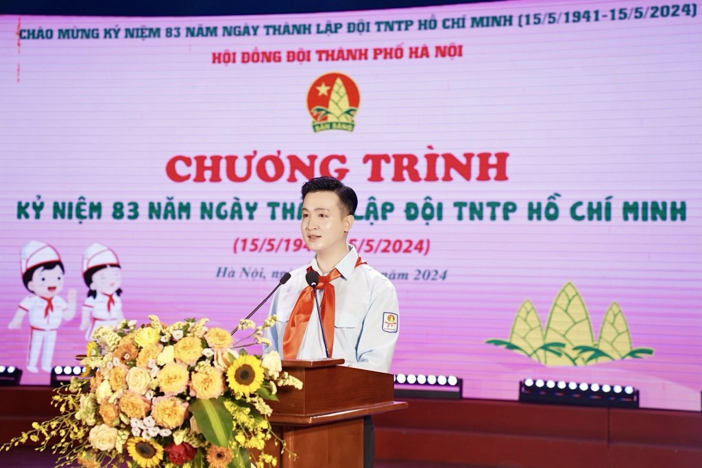Hội đồng Đội thành phố Hà Nội