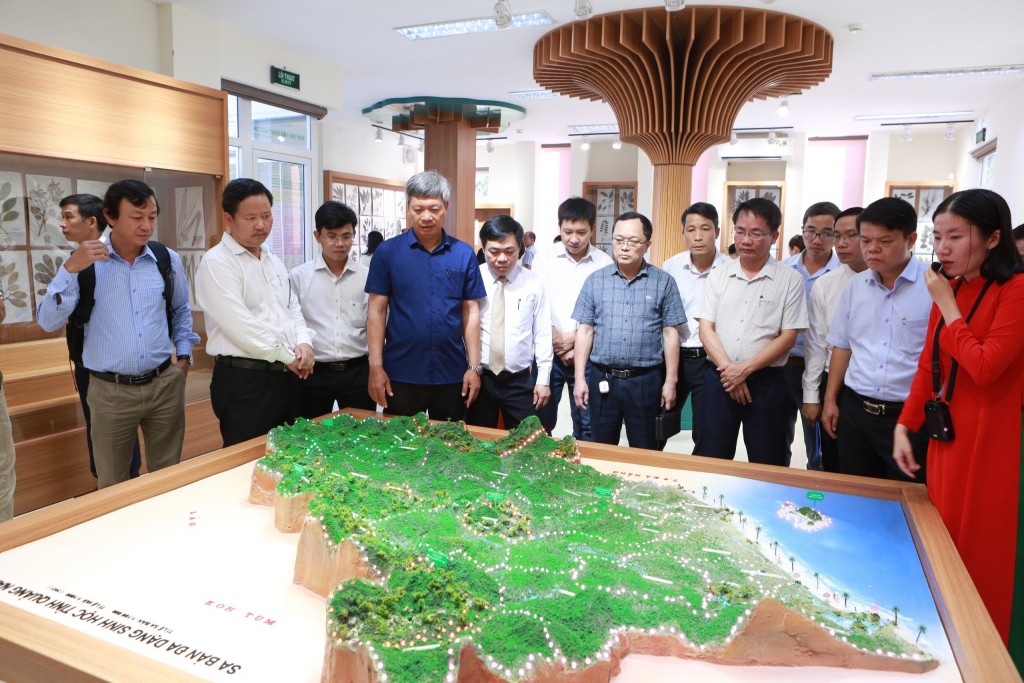 Các đại biểu tham quan sa bàn đa dạng sinh học tỉnh Quảng Nam tại bảo tàng