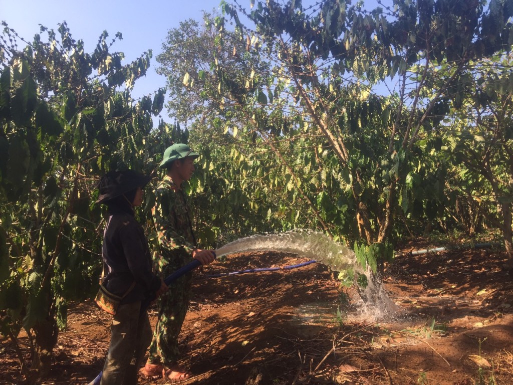 cán bộ Trung đoàn 720 giúp người dân tưới nước vườn cà phê