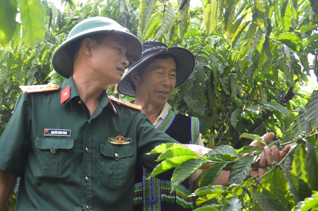 cán bộ Trung đoàn 720 hướng dẫn đồng bào chăm sóc cây cà phê