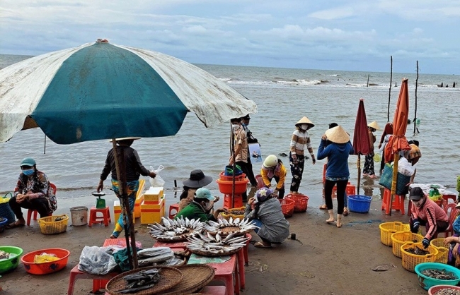 Đừng để ngộ độc hải sản trở thành nỗi lo mùa du lịch